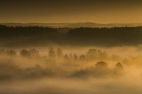 Fotograf Pontus Carlweitz